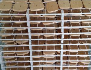 Patín ar Freeline barato bambú Decking ko mextha ar hño